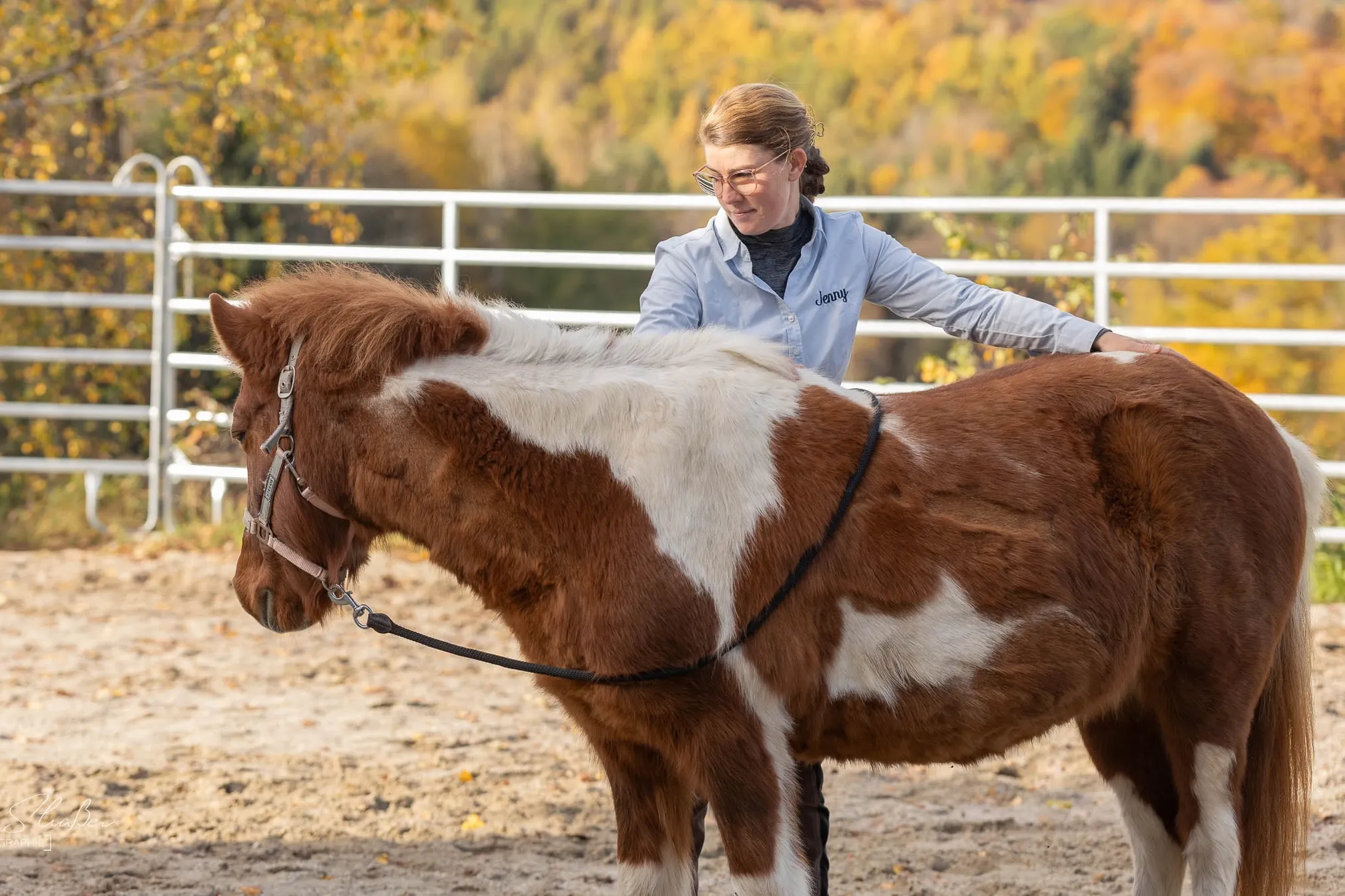 Physiotherapie mit einem Pony auf dem Reitplatz