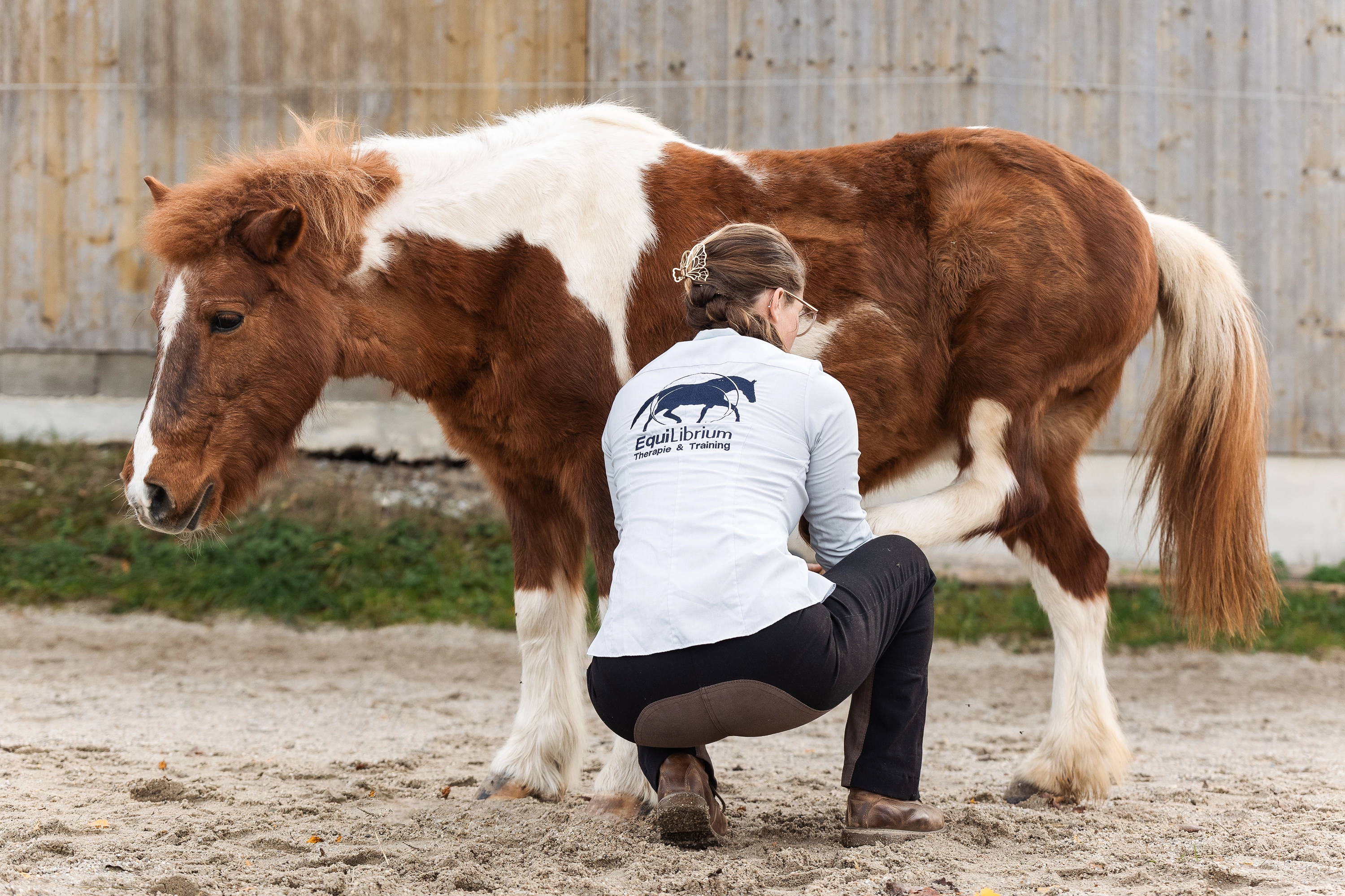 Fachausbildung Pferdephysiotherapie — EquiZeit Akademie