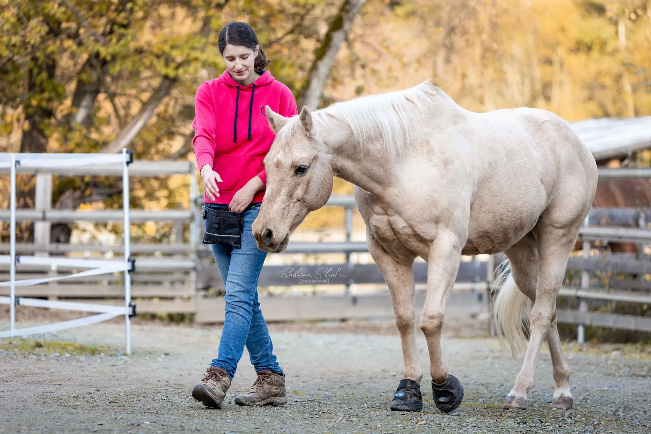 Christine Neumair beim Clicker-Training mit einem Pferd