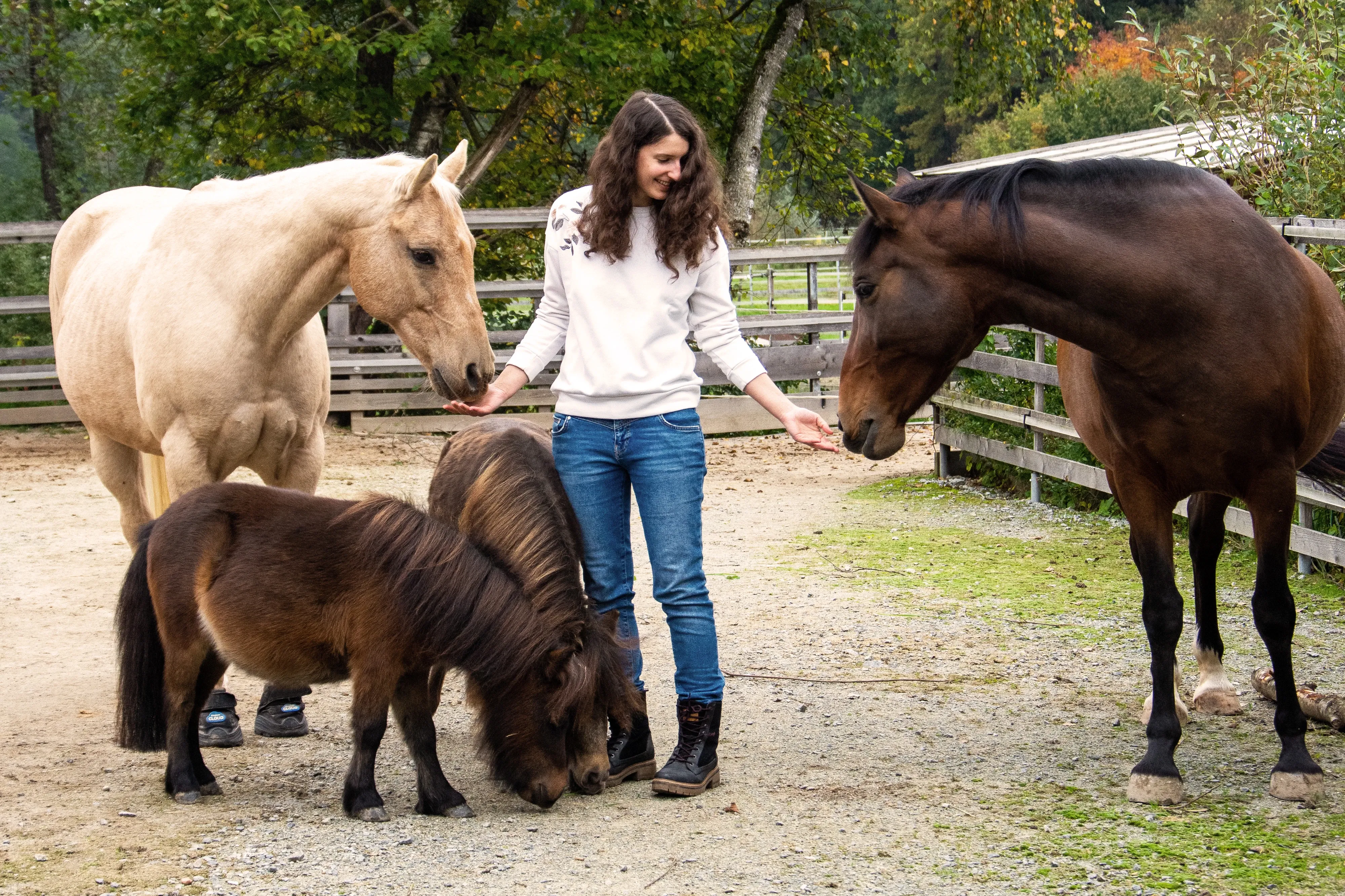 Christine Neumair füttert zwei Pferde und ein Mini-Shetlandpony