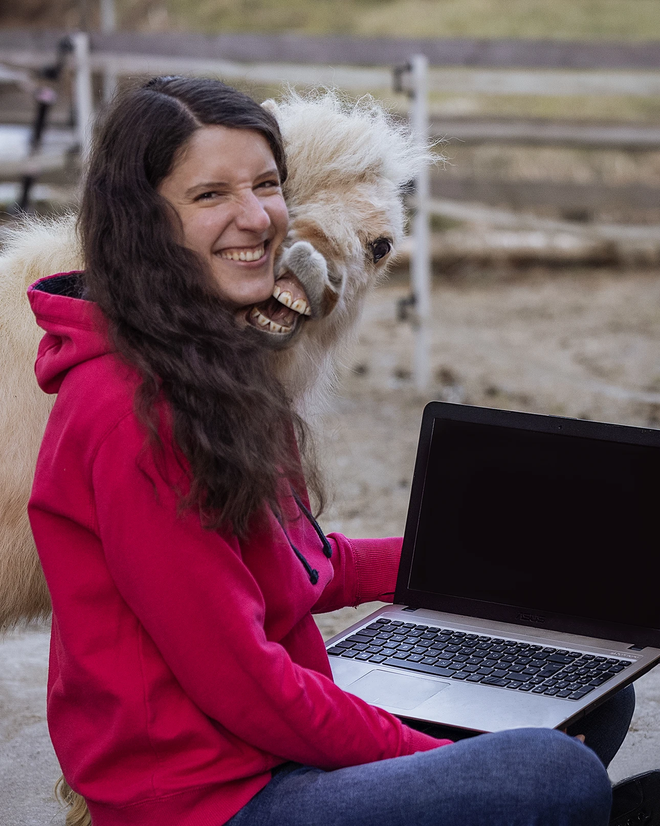 Christine Neumair am Laptop, ein Mini-Shetlandpony knabbert an ihren Haaren