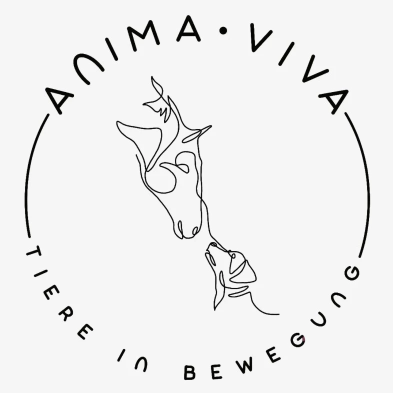 Anima Viva Logo