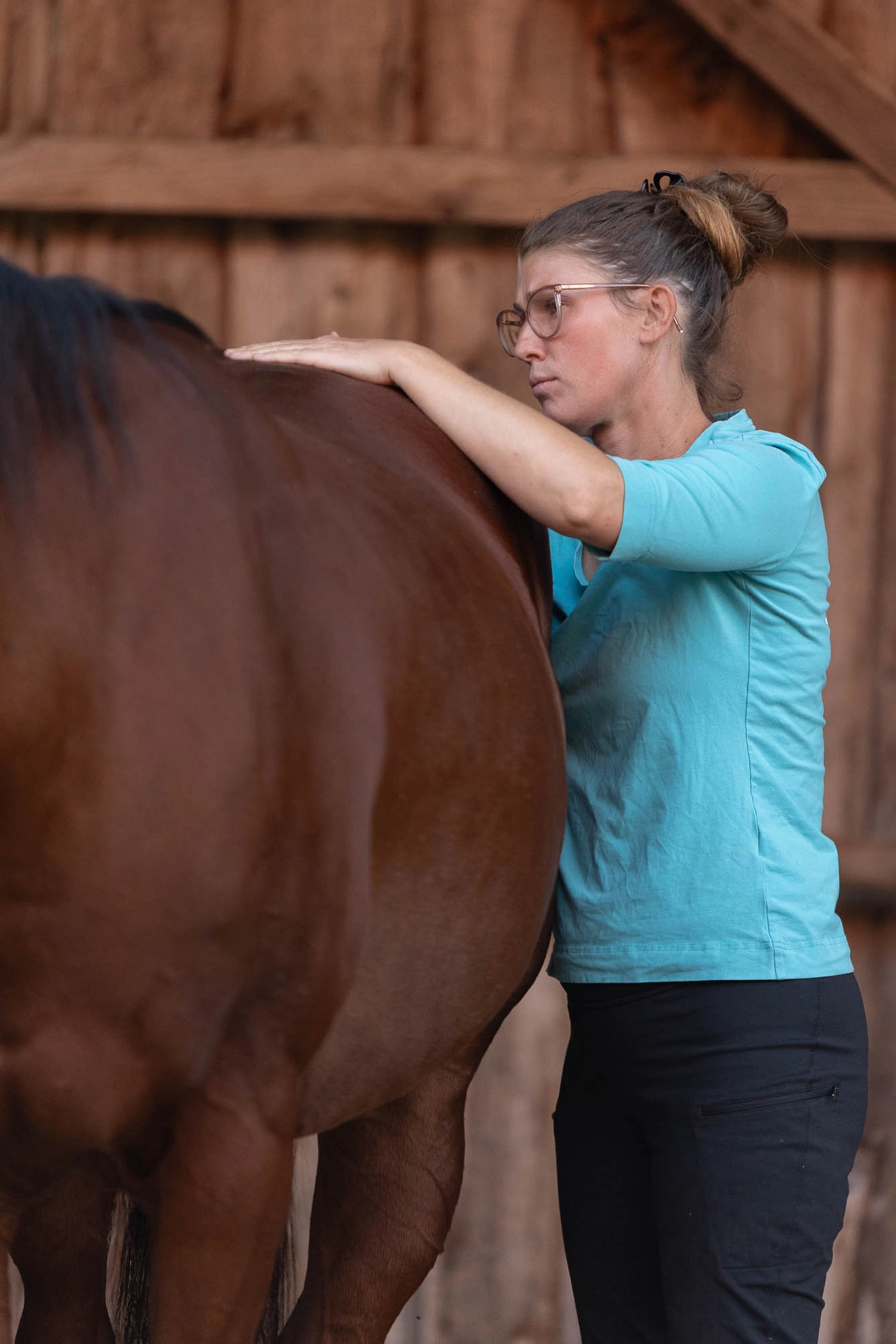 Ganganalyse eines Pferdes in der Pferdephysiotherapie