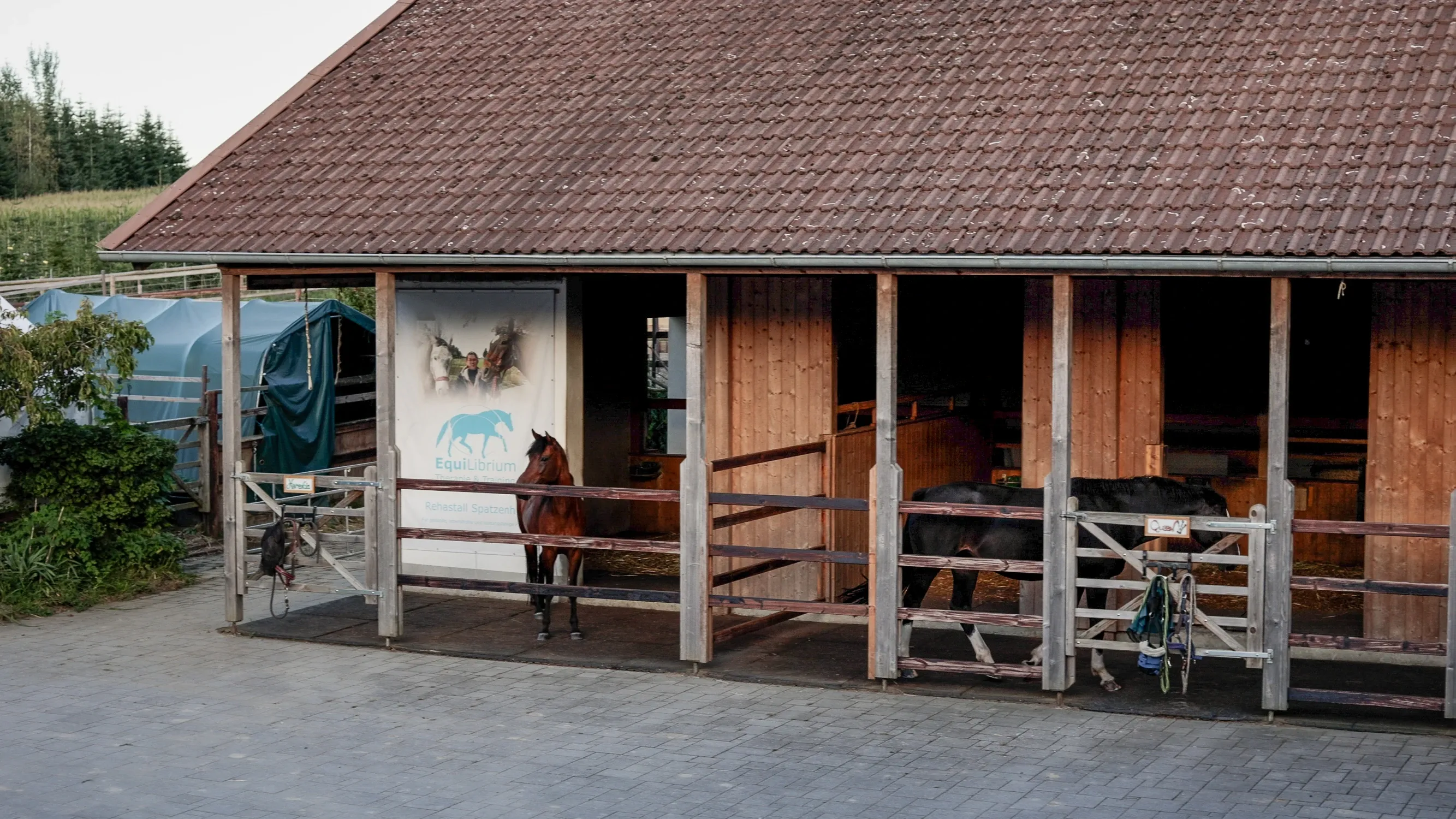 Praxiswochenende der Pferdephysiotherapie Ausbildung im Bayerischen Wald