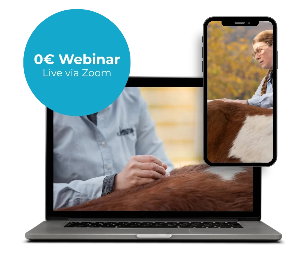 Laptop und Smartphone zeigen den Webinar-Videocall
