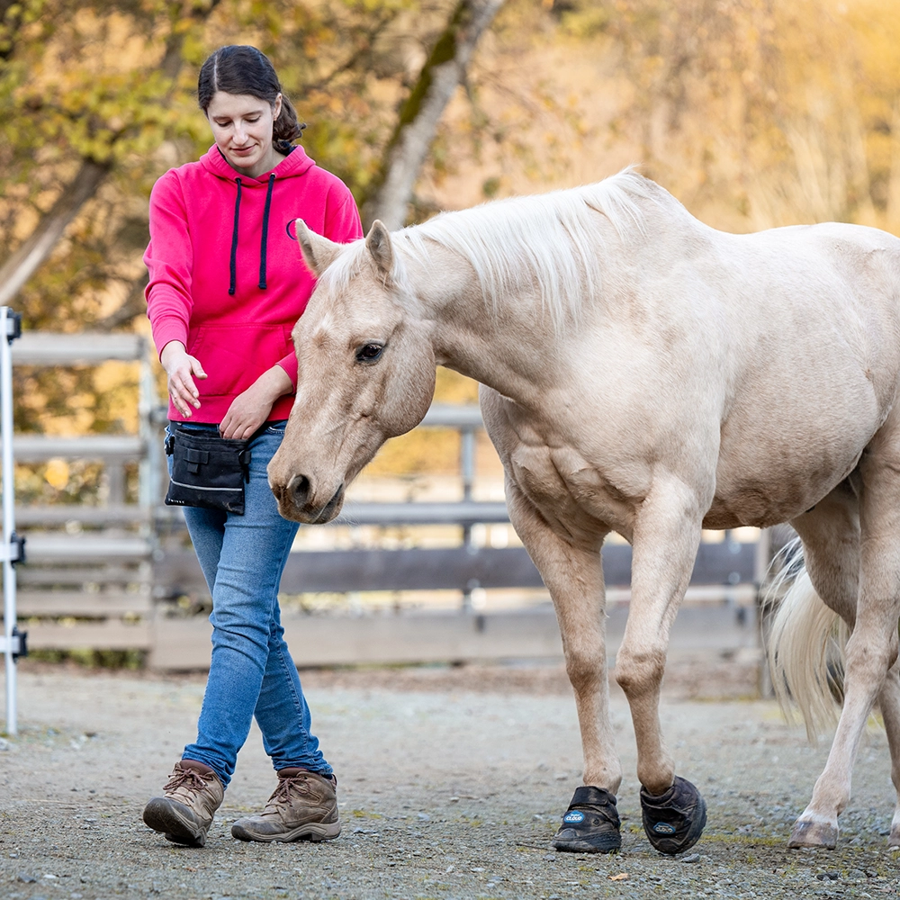 equizeit_christine_1