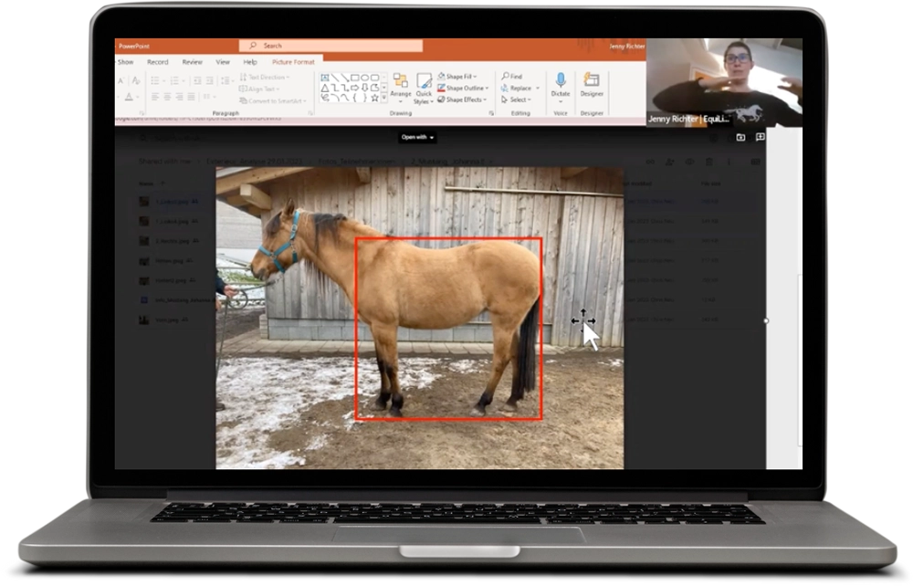 Kostenloses Webinar Exterieuranalyse