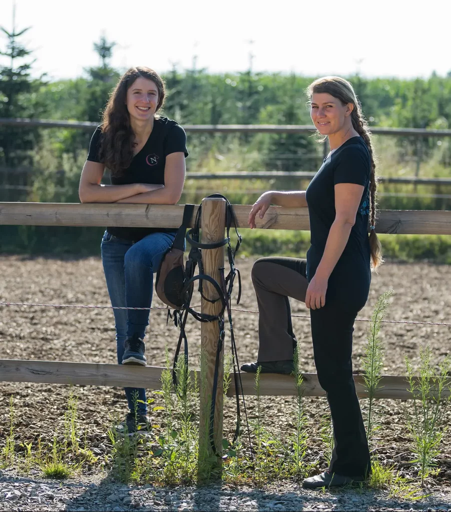 Wir bilden Pferdemenschen und Trainer aus, ihr Pferde gesund zu halten und zu trainieren