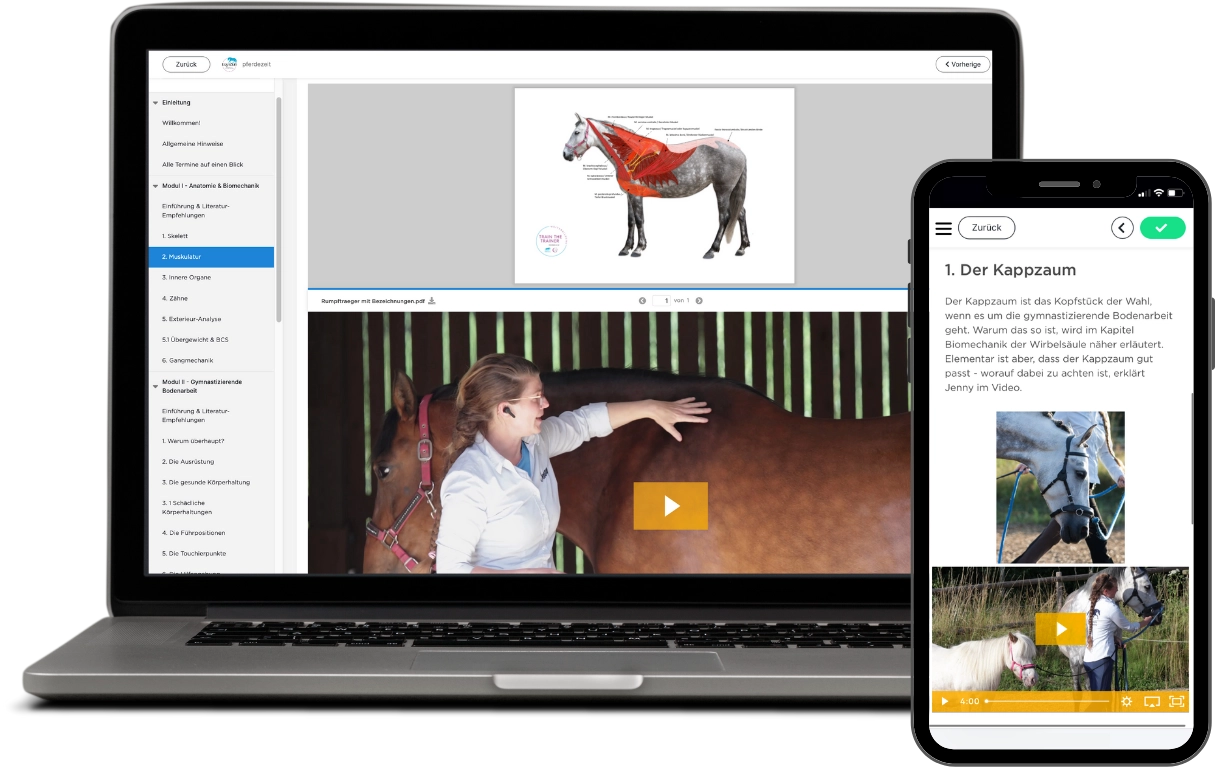 Einblick in den Online Intensivkurs Pferdegesundheit