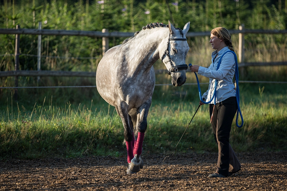 equizeit_trainingdays_bodenarbeit-3