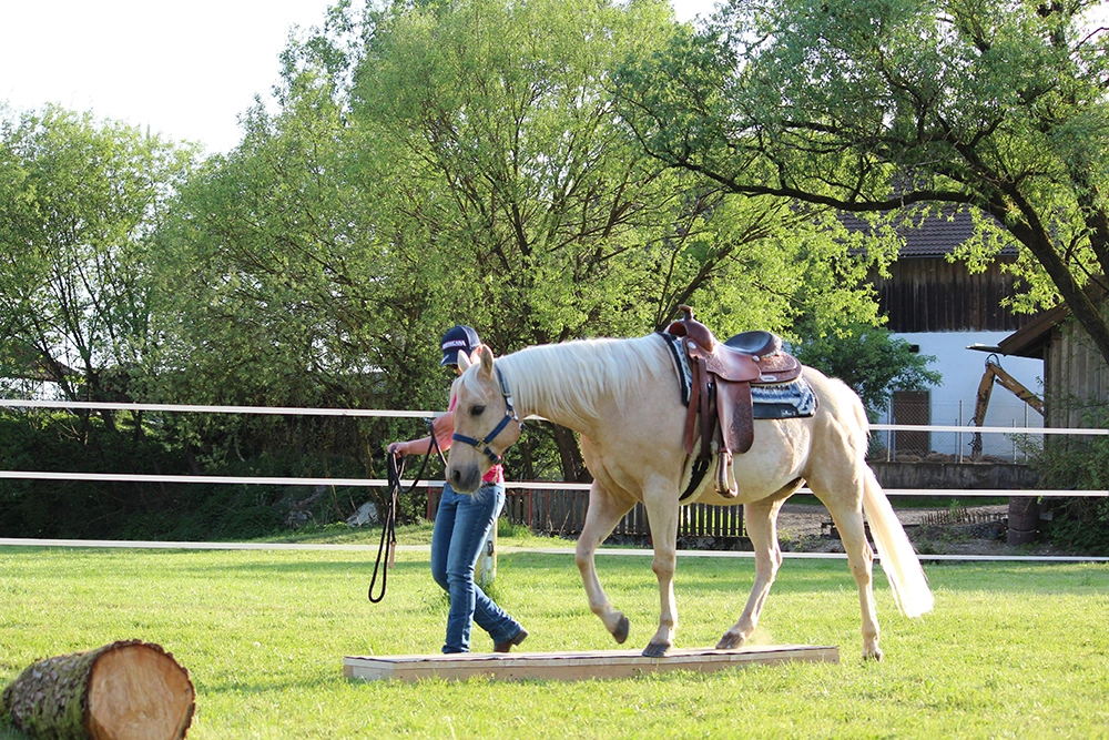 equizeit_trainingdays_trailundstangen-2