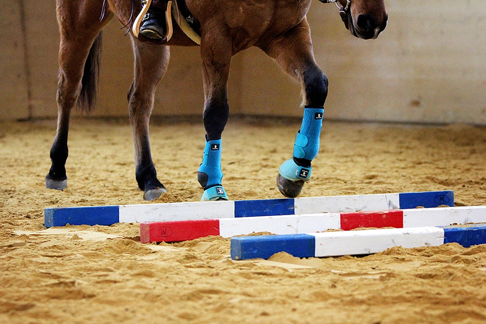 equizeit_trainingdays_trailundstangen-3