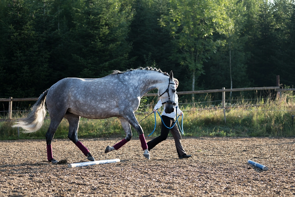 equizeit_trainingdays_trailundstangen-4