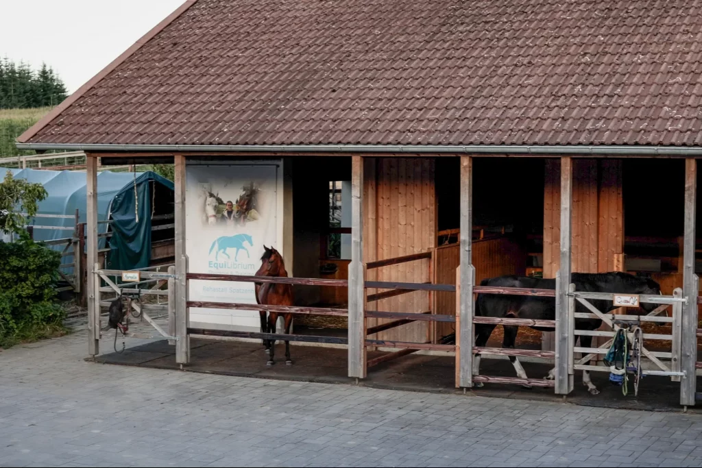 sstrasser_photographie_spatzenhof-44