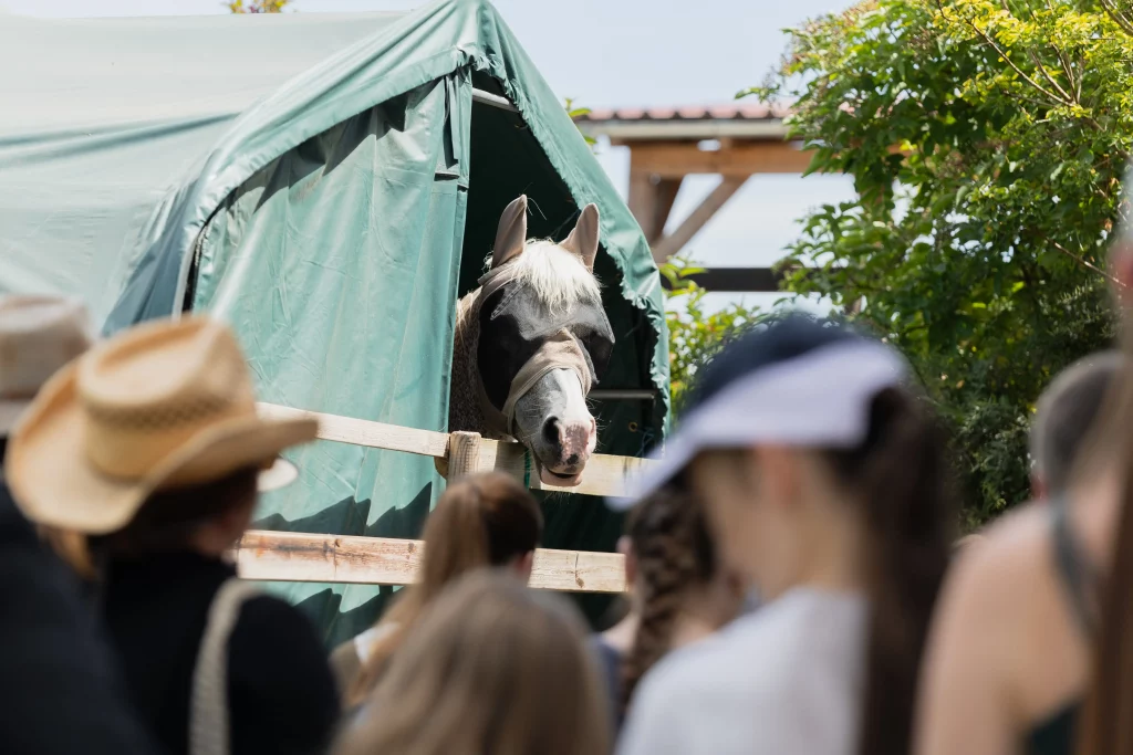sstrasser_photographie_event24_druck-5