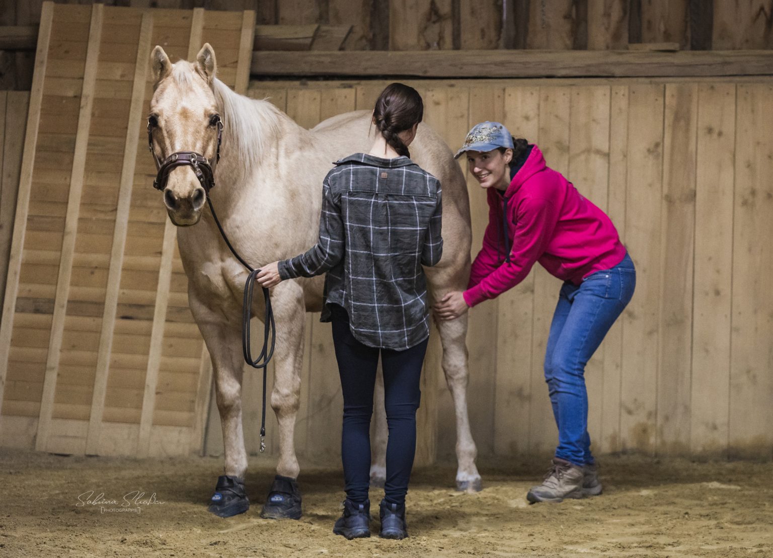 FN Trainerschein C Alternative